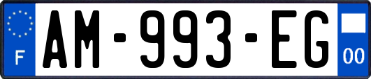 AM-993-EG