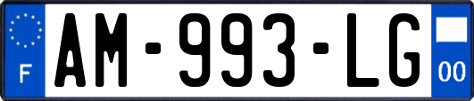 AM-993-LG