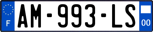 AM-993-LS