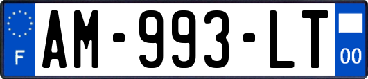 AM-993-LT