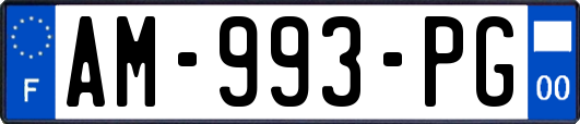 AM-993-PG