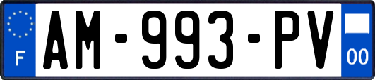 AM-993-PV