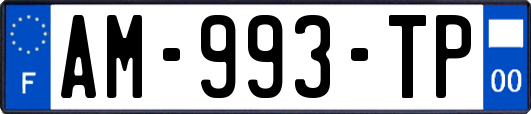 AM-993-TP