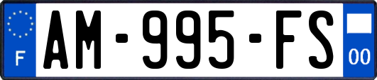 AM-995-FS