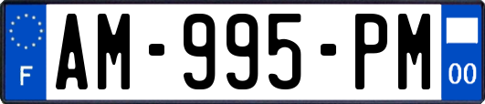 AM-995-PM