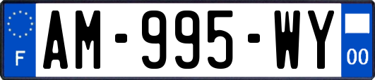 AM-995-WY