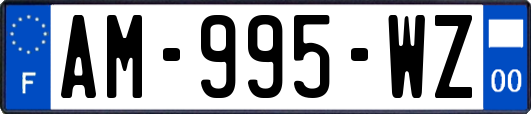 AM-995-WZ