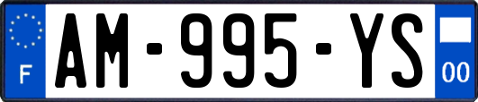 AM-995-YS