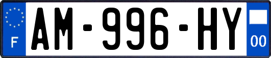 AM-996-HY