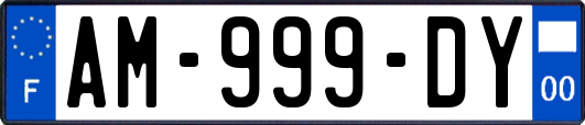 AM-999-DY