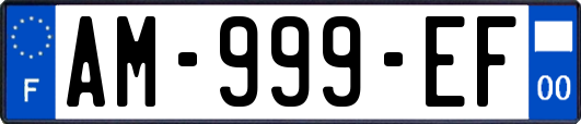AM-999-EF