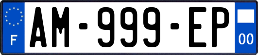 AM-999-EP