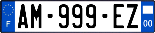 AM-999-EZ