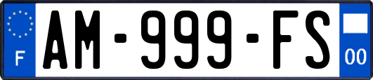 AM-999-FS
