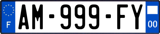 AM-999-FY