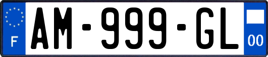 AM-999-GL