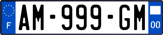 AM-999-GM