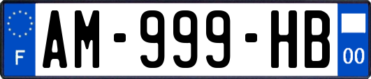 AM-999-HB