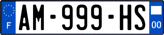 AM-999-HS