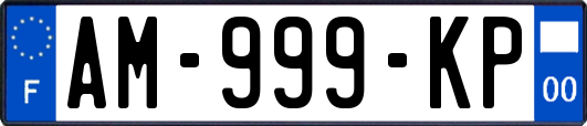 AM-999-KP