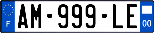 AM-999-LE