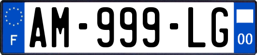 AM-999-LG