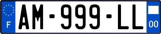 AM-999-LL