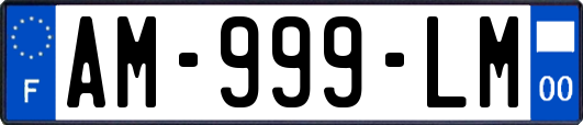 AM-999-LM