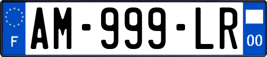 AM-999-LR