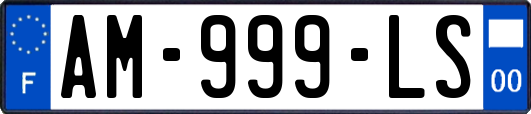 AM-999-LS