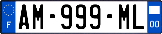 AM-999-ML