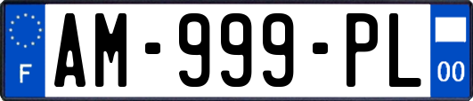 AM-999-PL