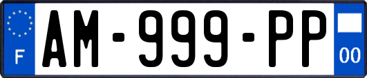 AM-999-PP