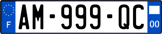 AM-999-QC