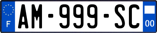 AM-999-SC