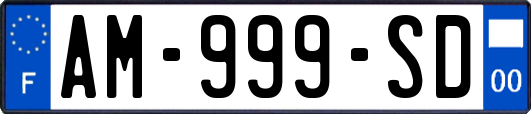 AM-999-SD