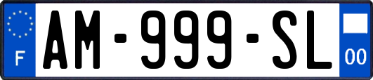 AM-999-SL