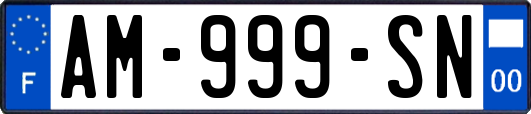 AM-999-SN