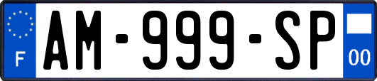 AM-999-SP