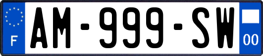 AM-999-SW