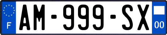 AM-999-SX
