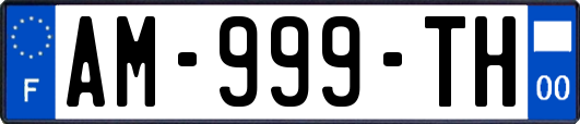 AM-999-TH