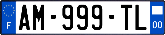 AM-999-TL