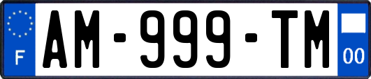 AM-999-TM