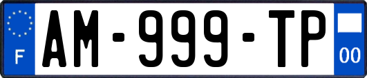 AM-999-TP