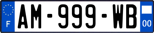 AM-999-WB