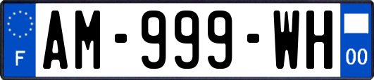 AM-999-WH