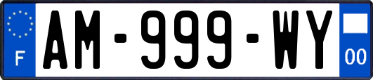 AM-999-WY