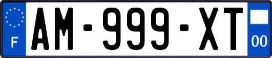 AM-999-XT