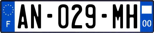 AN-029-MH